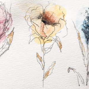 Workshop Basis Aquarel Met fineliner Thema Bloemen //Amersfoort // Vrijdag 06-02-2026 19:30 - 21:30
